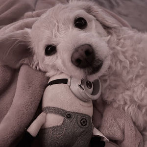 Meet your Posher, Dylan